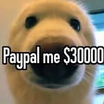 Joseph - @joseph_bardolph - Instagram