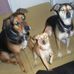 Joseph Baroni - Facebook