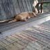 Joseph Baroni - Facebook