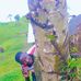 Joseph Baraka - Facebook