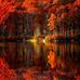 Joseph Batts - Facebook