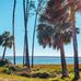 Saint Joseph Bay, Florida - Facebook