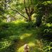 San Joseph Bay, British Columbia - Facebook