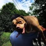 Joseph Beall - @skatebaker757 - Instagram