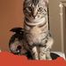 Joseph Beckwith - Facebook