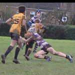 Joseph Beesley - @jbeesley.sport - Instagram