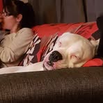Joseph Begin - Facebook