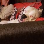Joseph Begin - @beginjoseph - Instagram