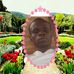 Joseph Pehan - Facebook