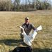Joe Behnke - Facebook