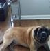 Joe Behnke - Facebook