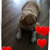 Joseph Behnke - Facebook