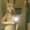 Joseph Bejarano - @joseph.bejarano24 - TikTok