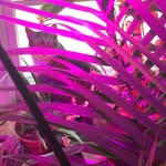 Joseph Belknap - @belkjoseph - Instagram