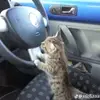 Joseph - @joseph.benner1223329 - TikTok