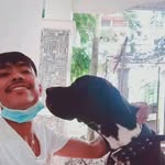 Joseph Beran - @kimpelrossou - Instagram