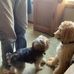 Joseph Berning - Facebook