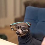 Joseph Bias - @somewhat_average__joe - Instagram