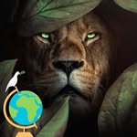 Joseph Bigham - @panamafill - Instagram