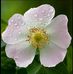 Joseph Bischoff - Facebook