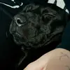 Josh - @josh_blackledge0 - TikTok