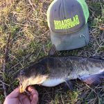 joseph blackmon - @josephblackmon43 - Instagram