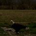 Joseph Bly - Facebook