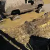 josephboardman805 - @josephboardman805 - TikTok