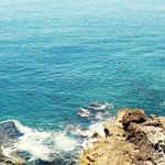 Joseph Boccia - @bocciajoseph - Instagram