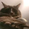 Bob - @boomerjoseph129 - TikTok