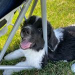 Joseph Boomer - @boomerjoseph - Instagram