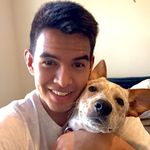 Joseph Evangelista - @joseph_and_boomer - Instagram
