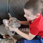 @jos_ephbotticelli - Instagram