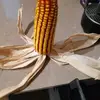 Joseph Bou - @joseph.bou5 - TikTok