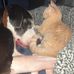 Joseph Boulanger - Facebook