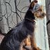 Joseph Bourque - Facebook