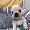 Joseph boy - @joseph.boy28 - TikTok