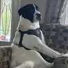 Brett - @brettjoseph19 - TikTok