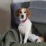 Joseph L Brought - @josephbrought - Instagram