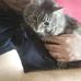 Joseph Buckler - Facebook