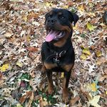 Joseph Buettner - @jhuntsalot - Instagram