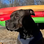 Bunk Joseph - @bunkjoseph1972 - Instagram