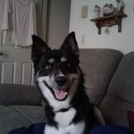 Joseph Burcham - @joseph_d_burcham - Instagram