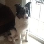 Joey_Burwell - @joseph_burwell - Instagram