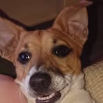 buster - @buster_joseph_01 - Instagram