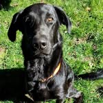 Buster Joseph Pence - @busterjoseph - Instagram