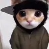 josephcaplette - @josephcaplette - TikTok