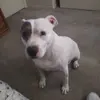 Joseph Cardinale Palomeque - @joseph.cardinale - TikTok