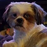 Joseph Cataldo - @jscjr48 - Instagram