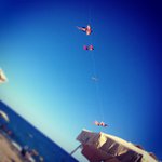 Joseph Catlin - @mseripsite - Instagram